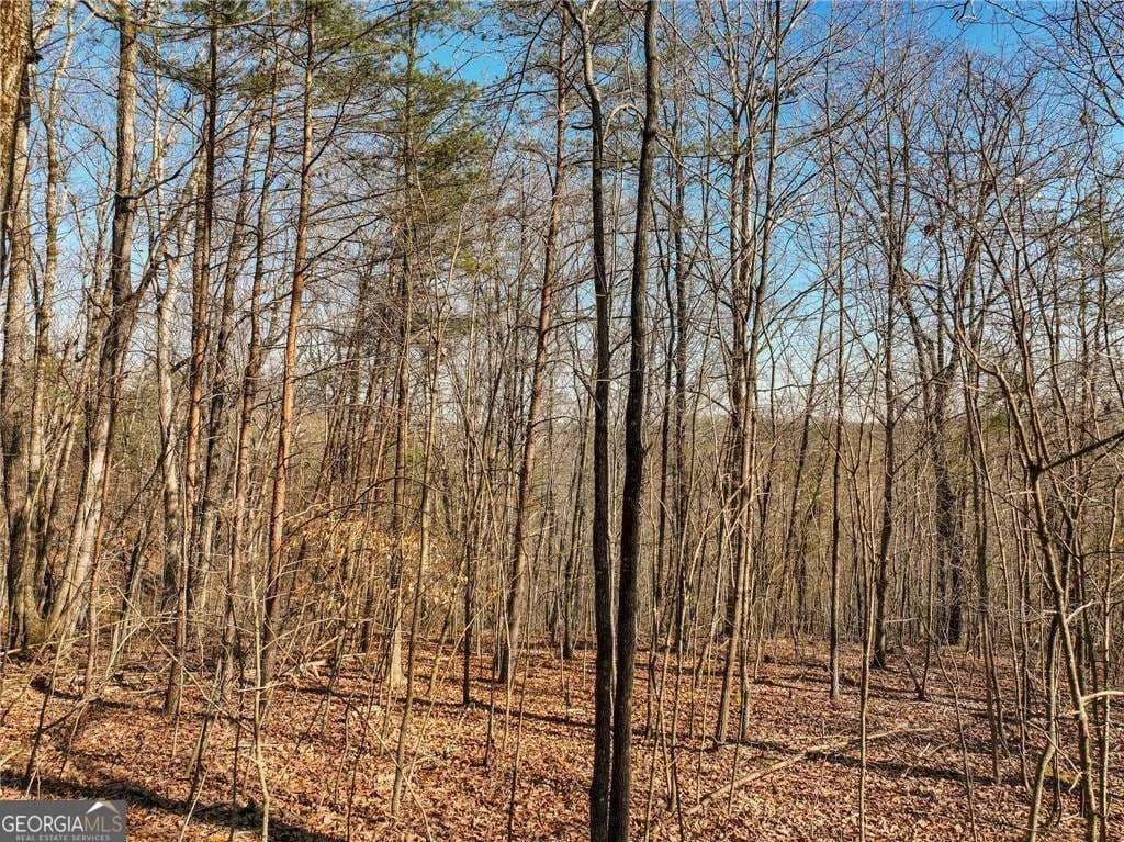3.5 Acres of Land for Sale in Murrayville, GA - Murrayville, Georgia, 30564
