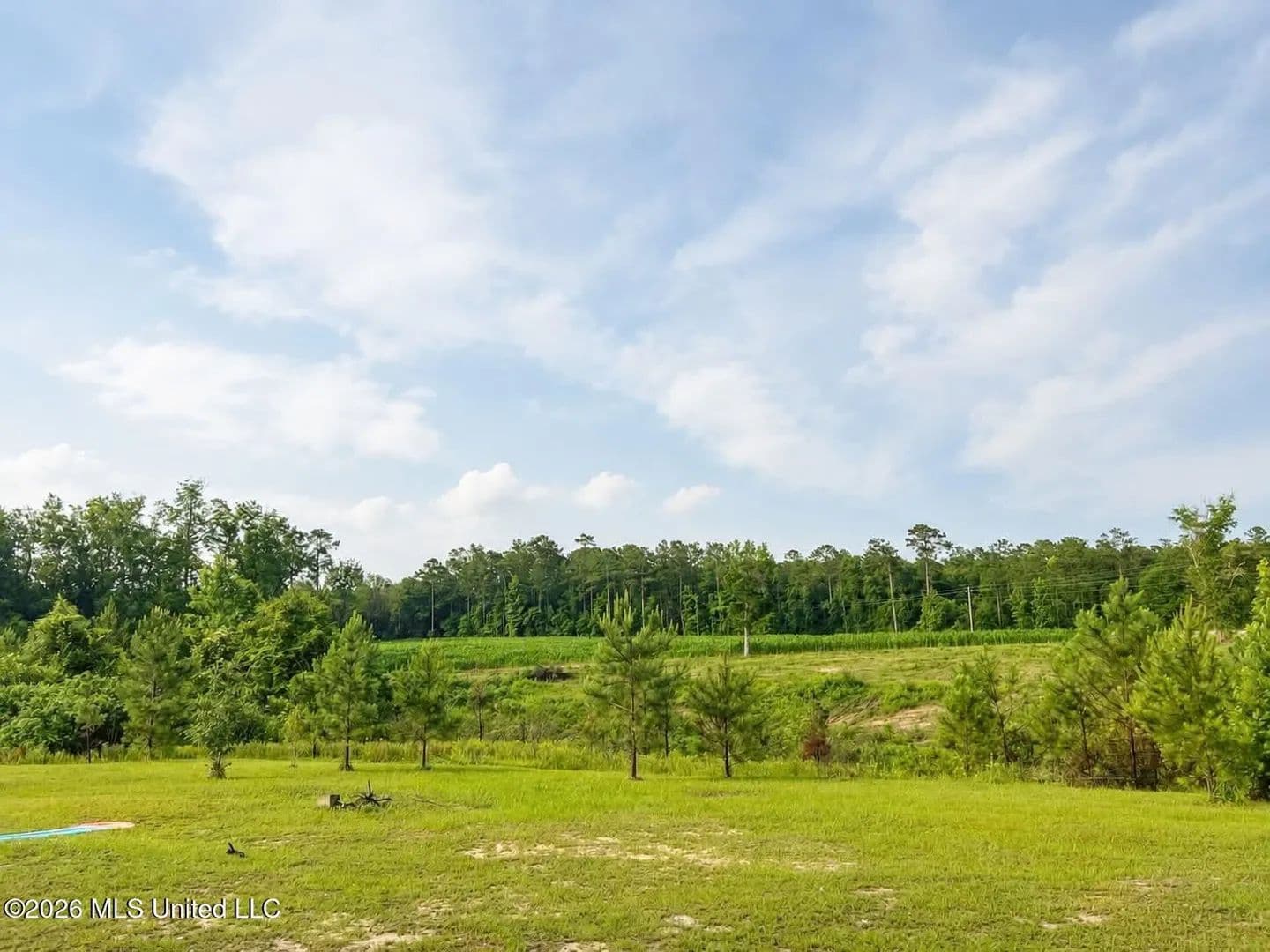 18.51 Acres of Land for Sale in Lucedale, Mississippi - Lucedale, Mississippi, 39452