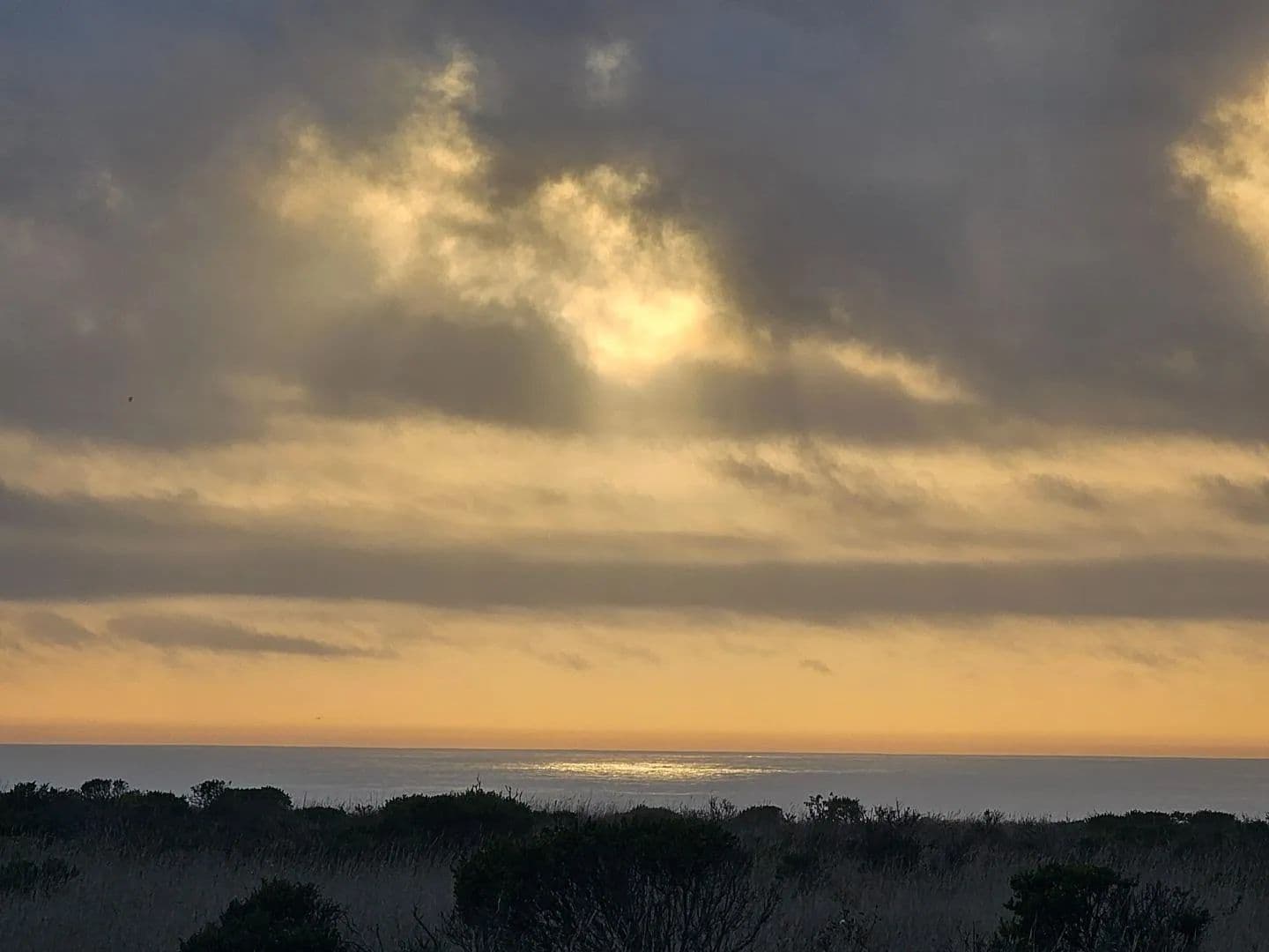 Vacant Land in Half Moon Bay - Half Moon Bay, California, 94019