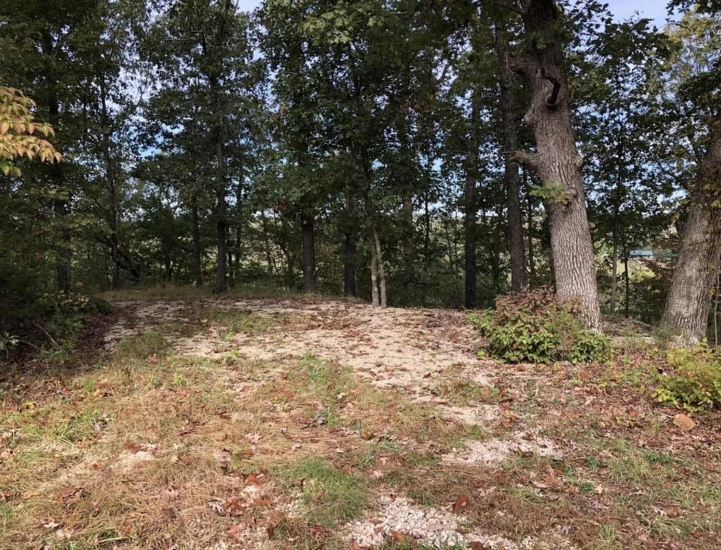 Lots & Land-Other in Windyville - Windyville, Missouri, 65783