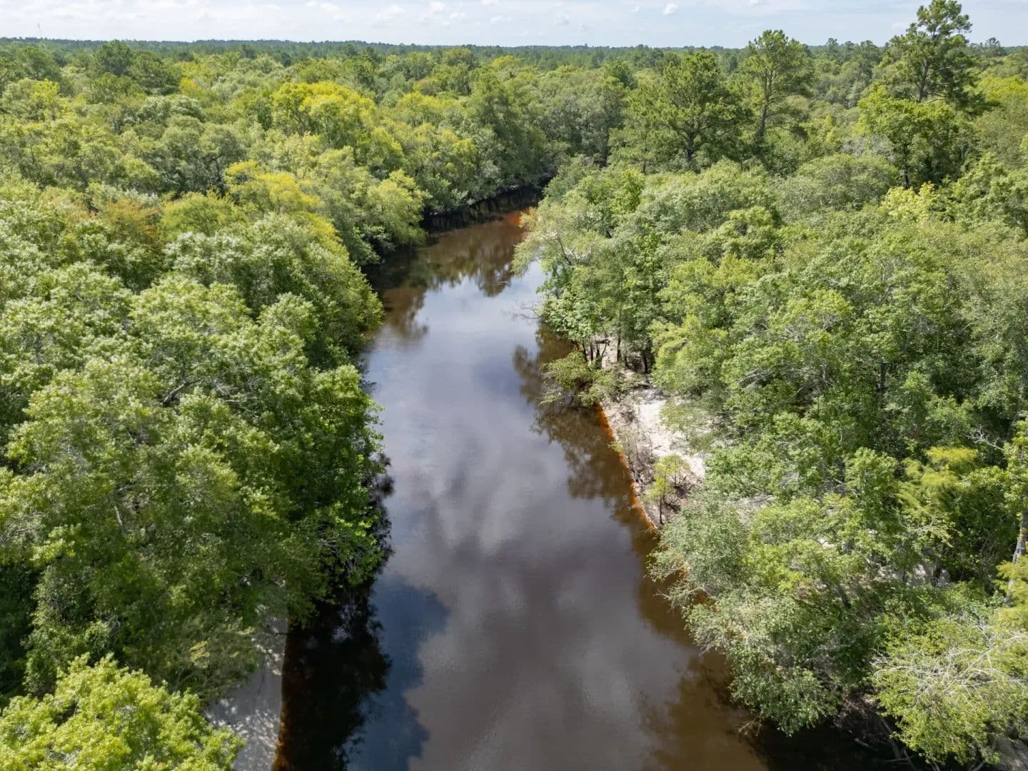 49.19 Acres of Land for Sale in Lakeland, GA - Lakeland, Georgia, 31635