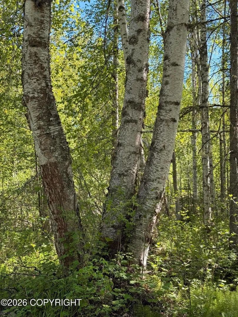 Property from 14002 E Front Street - KW - Talkeetna, Alaska, 99676