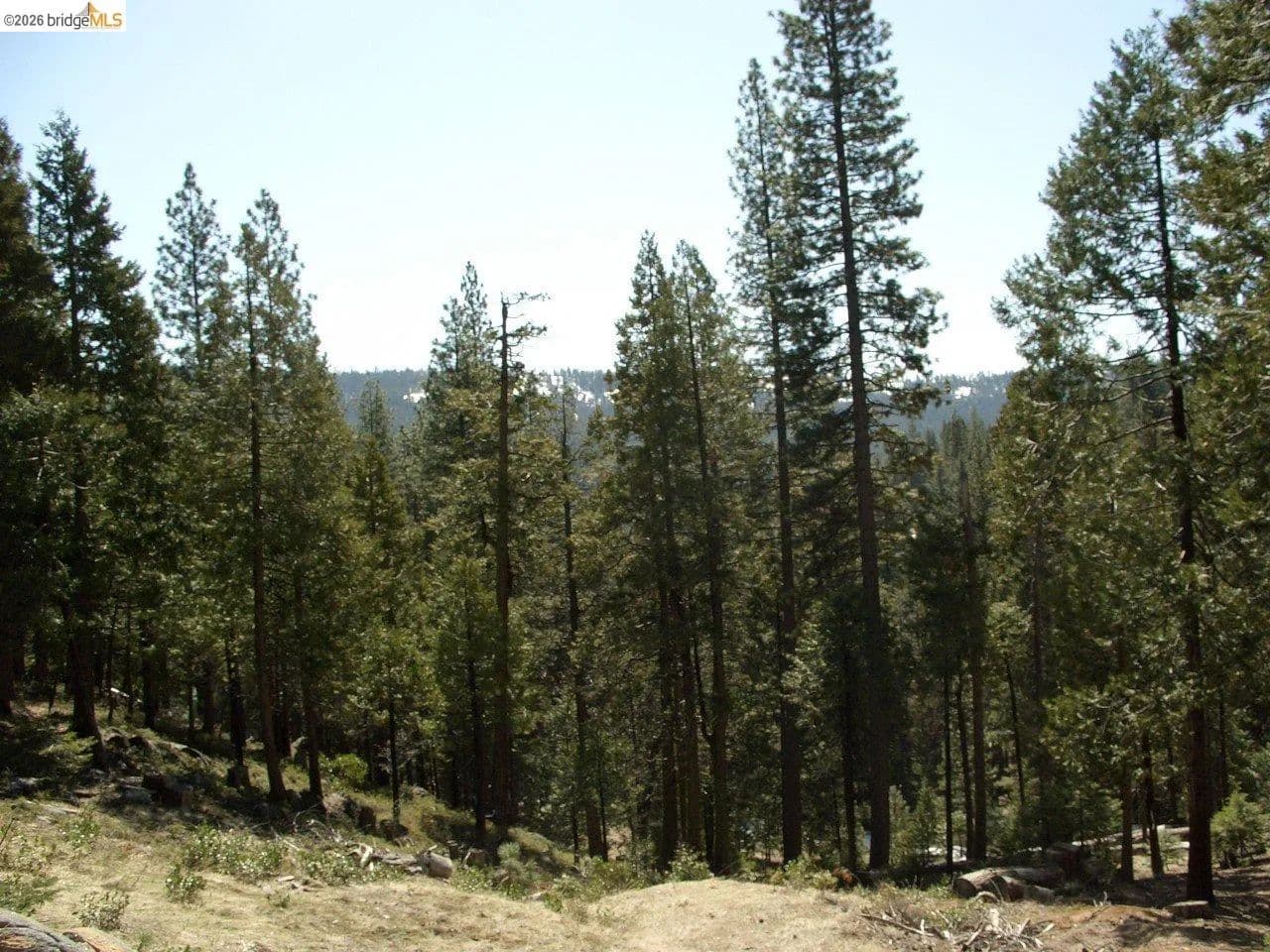 Property from 29733 Kerns Drive Lot 441 - KW - Cold Springs, California, 95335