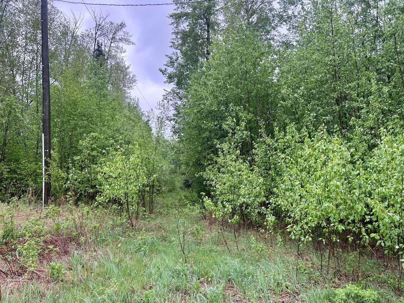 Property from 67458 McGrane Rd #122 - KW - land for sale