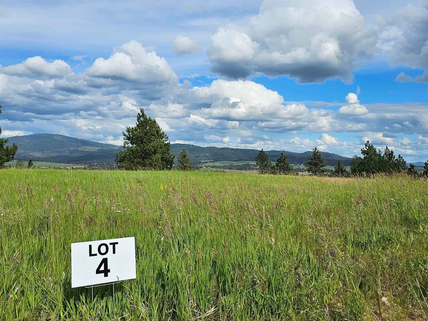 Property from NNA S Sands Rd - KW - Valleyford, Washington, 99036