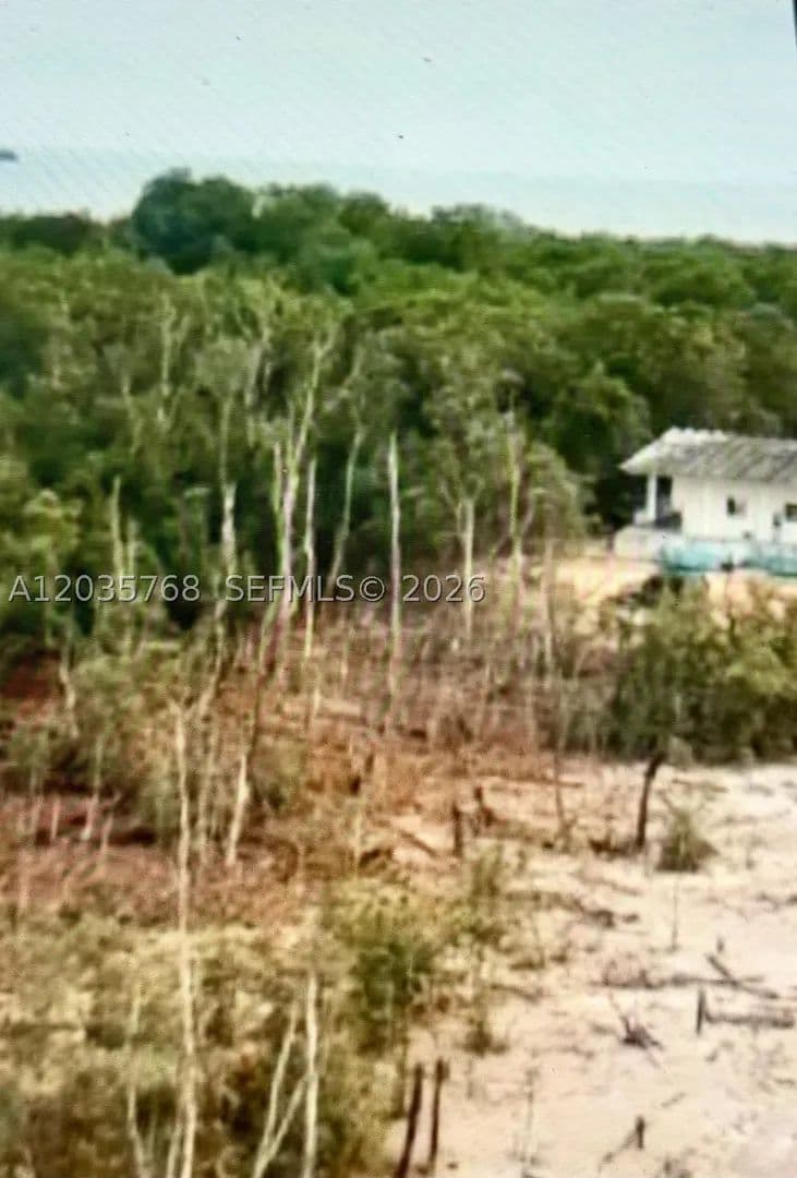 42 Acres of Land for Sale in Cartagena, Colorado - Cartagena, Colorado