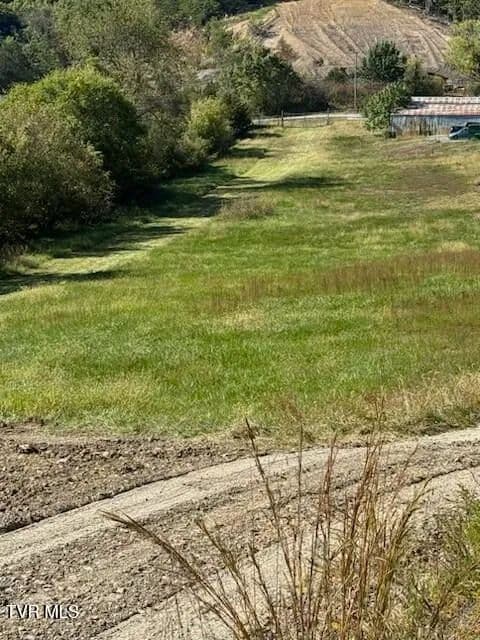 17 Acres of Land for Sale in Blountville, Tennessee - Blountville, Tennessee, 37617