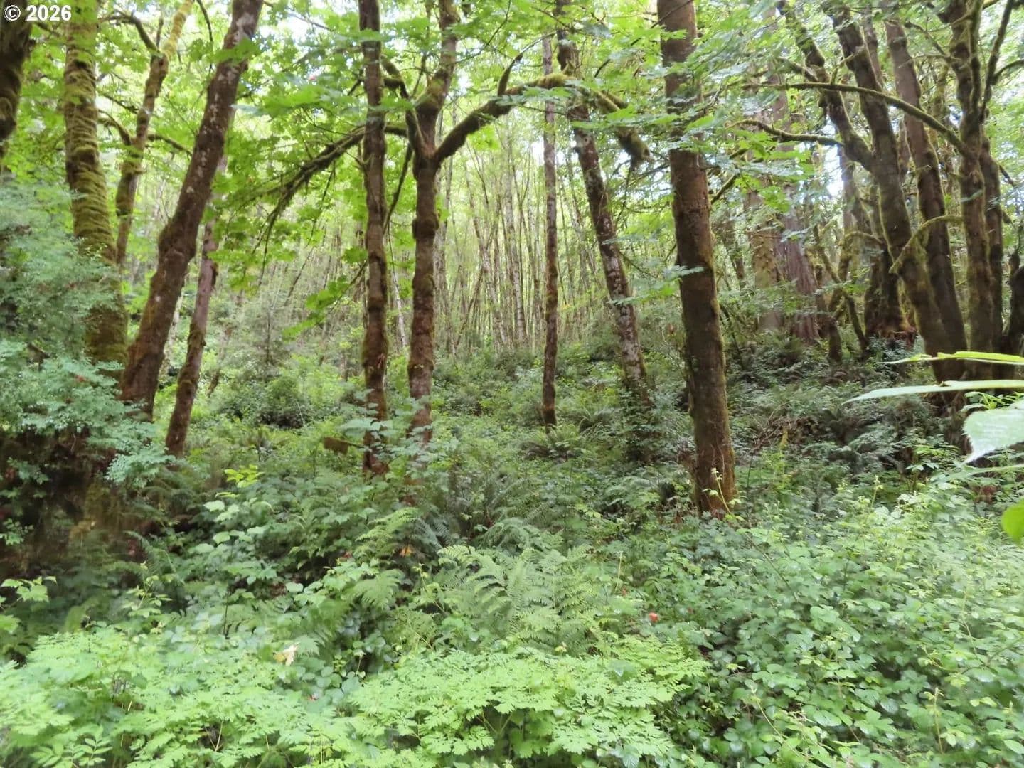 6.01 Acres of Land for Sale in Longview, WA - Longview, Washington, 98632