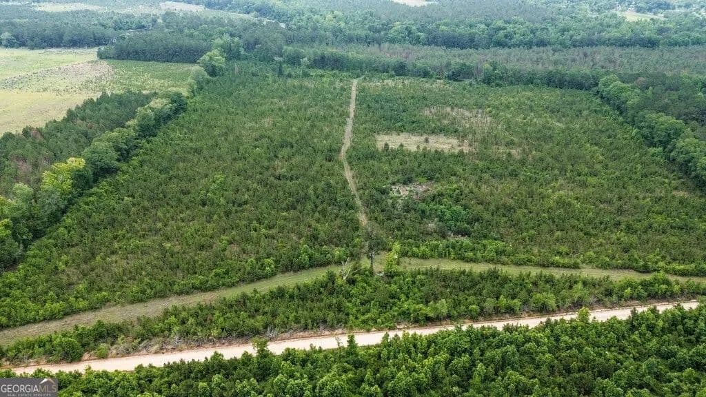 Property from 0 Adams Hammock Road - KW - Lyons, Georgia, 30436