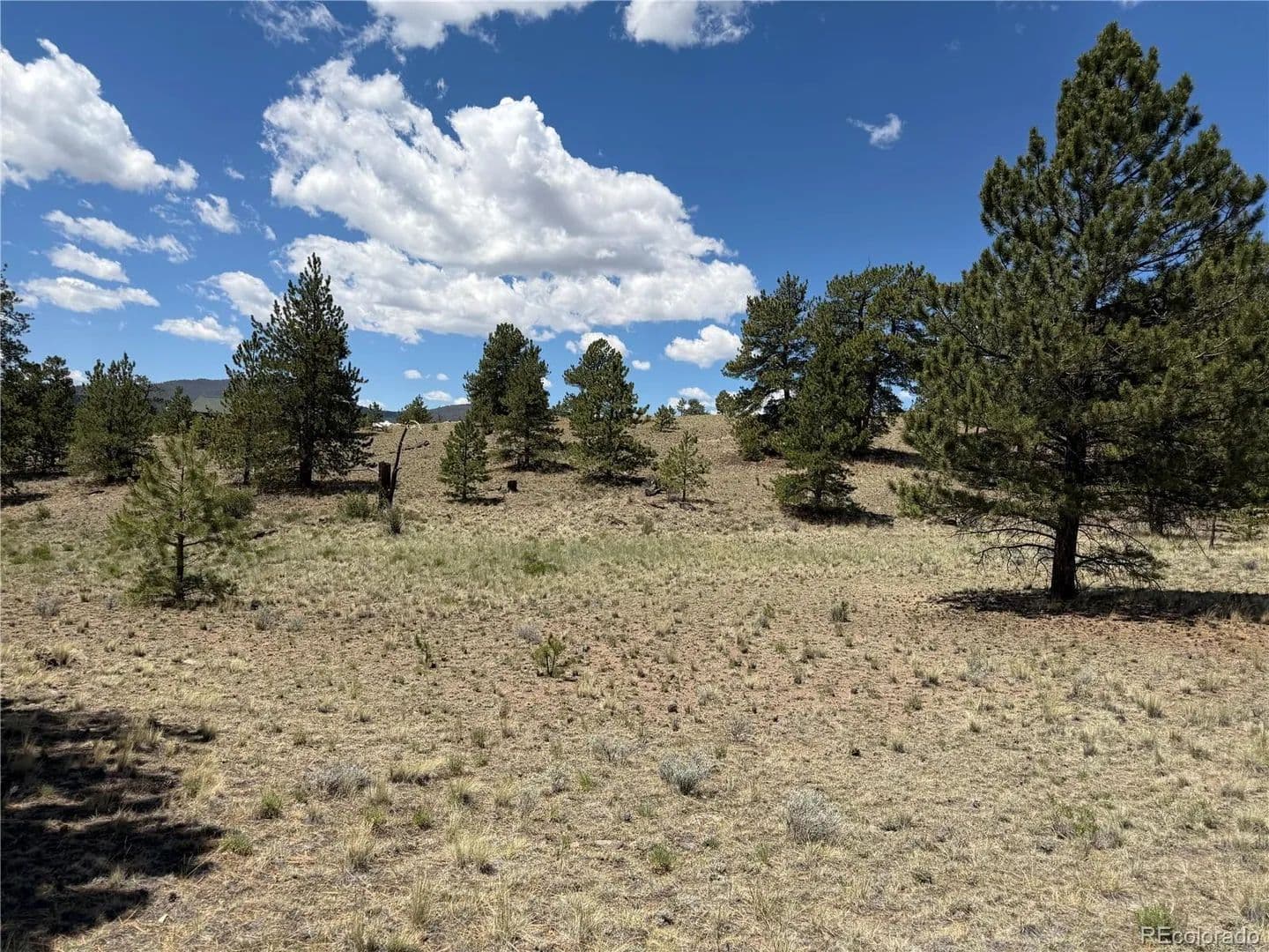 2 Acres of Land for Sale in Hartsel, CO - Hartsel, Colorado, 80449