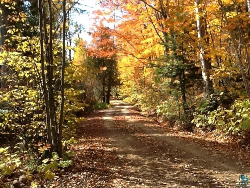 1.25 Acres of Land for Sale in Lutsen, Minnesota - Lutsen, Minnesota, 55612