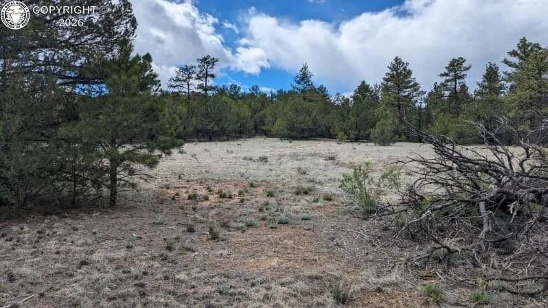 Property from tbd 17th Trail - KW - Canon City, Colorado, 81212