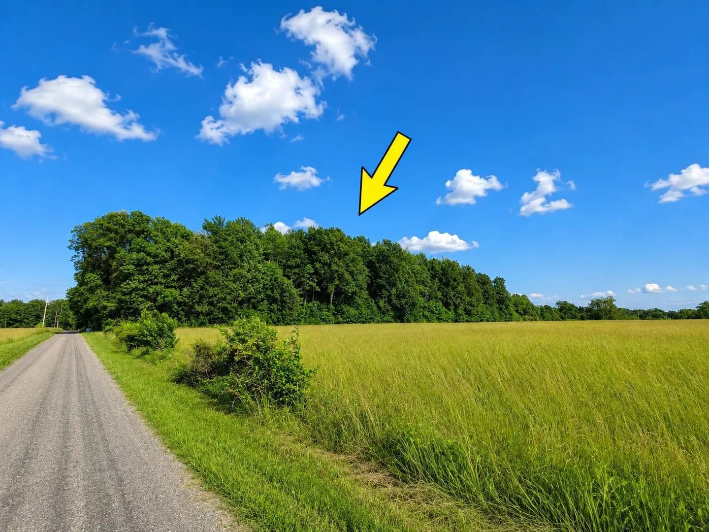 Property from 0 Cross Road - KW - Vevay, Indiana, 47043