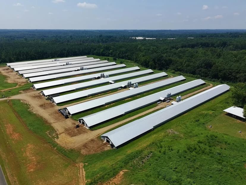 Morven Pines Twelve House Broiler Farm – Anson County, North Carolina