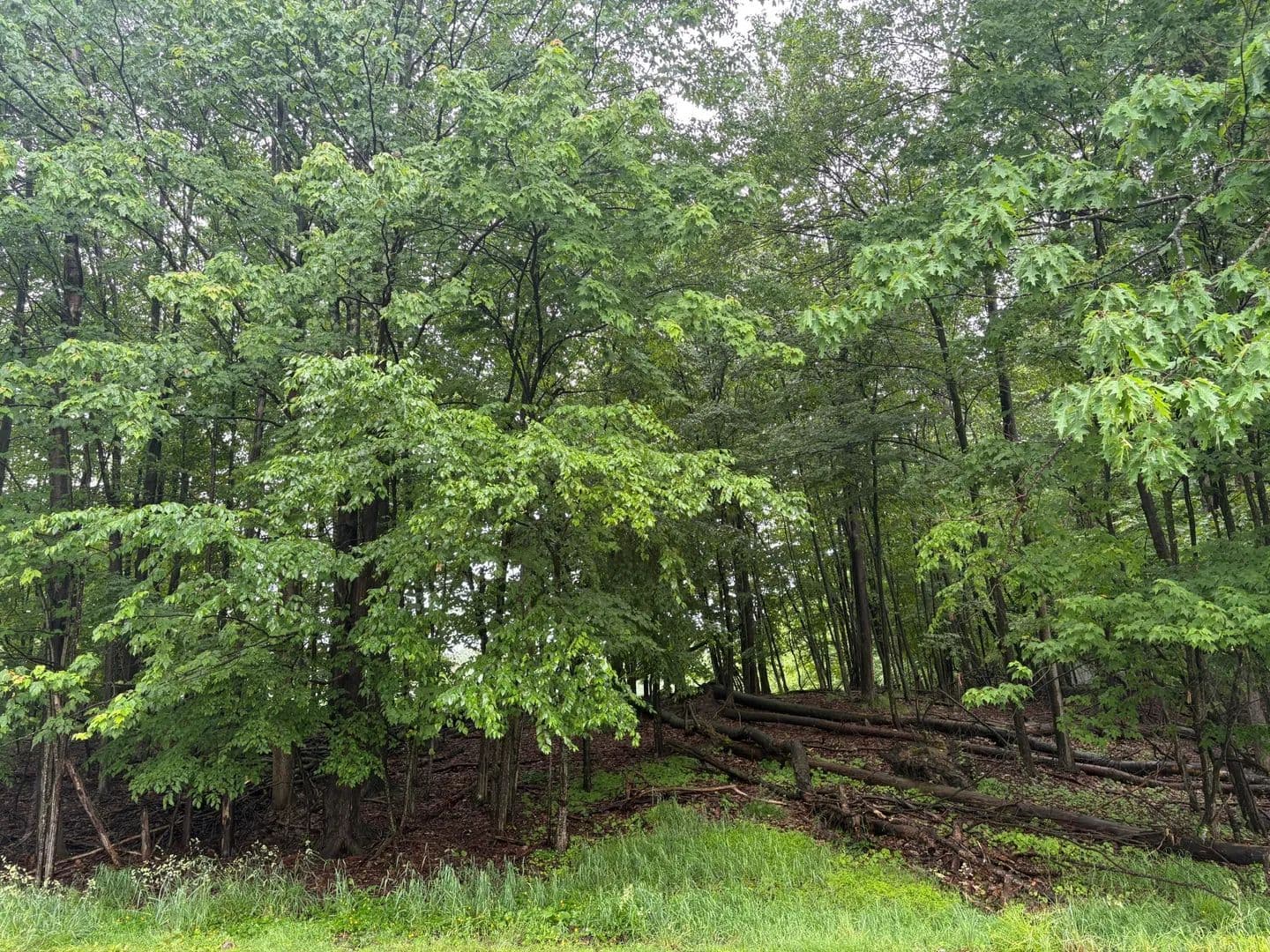 Property from 6 44 AND 45 TREASURE LAKE RD - KW - Dubois, Pennsylvania, 15801