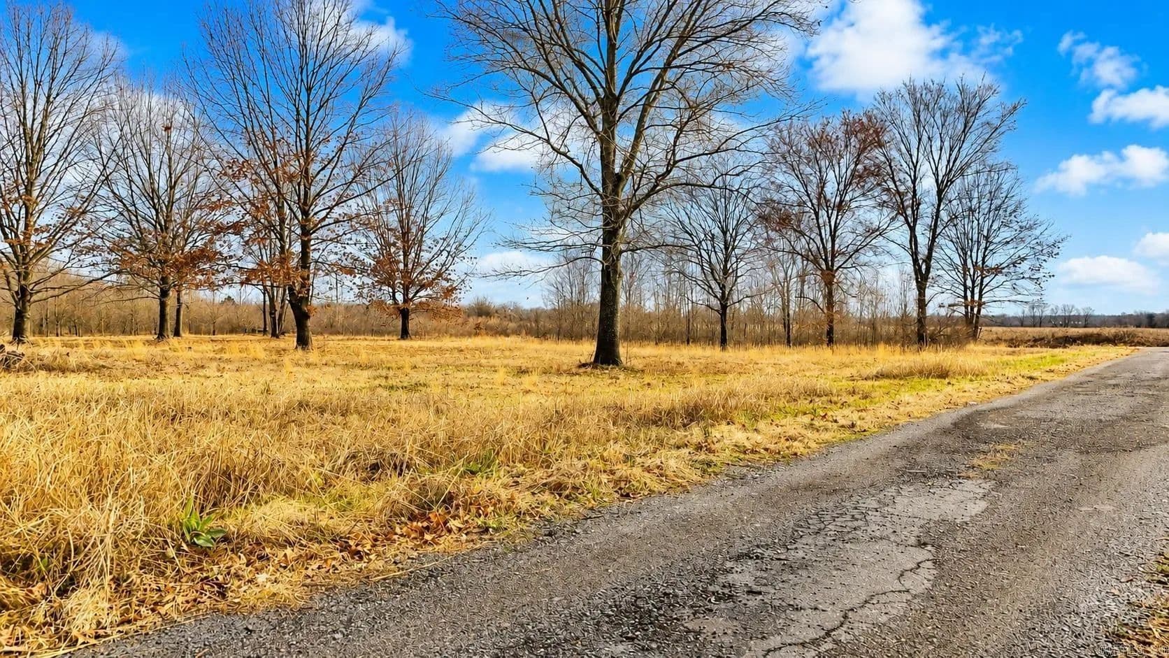 Property from TBD Levinston North - KW - Humphrey, Arkansas, 72023
