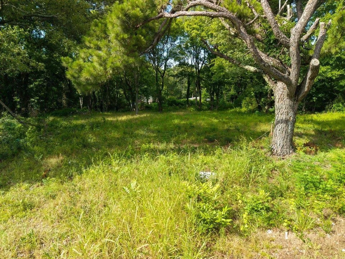 Property from . SHELBY VIEW DR - KW - Memphis, Tennessee, 38134