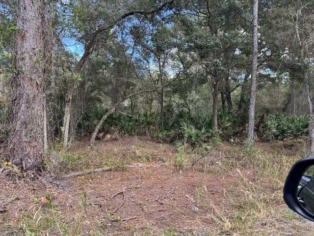 Vacant Land in Deland