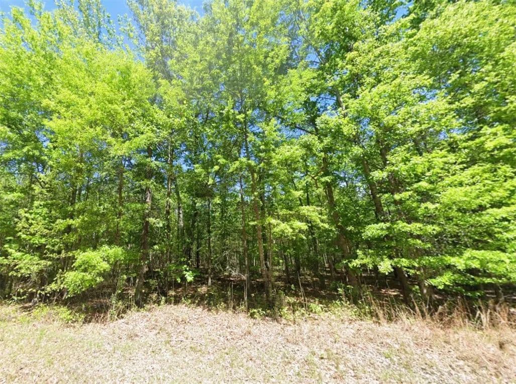 Property from 0 GREENWOOD Drive - KW - Hardaway, Alabama, 36039