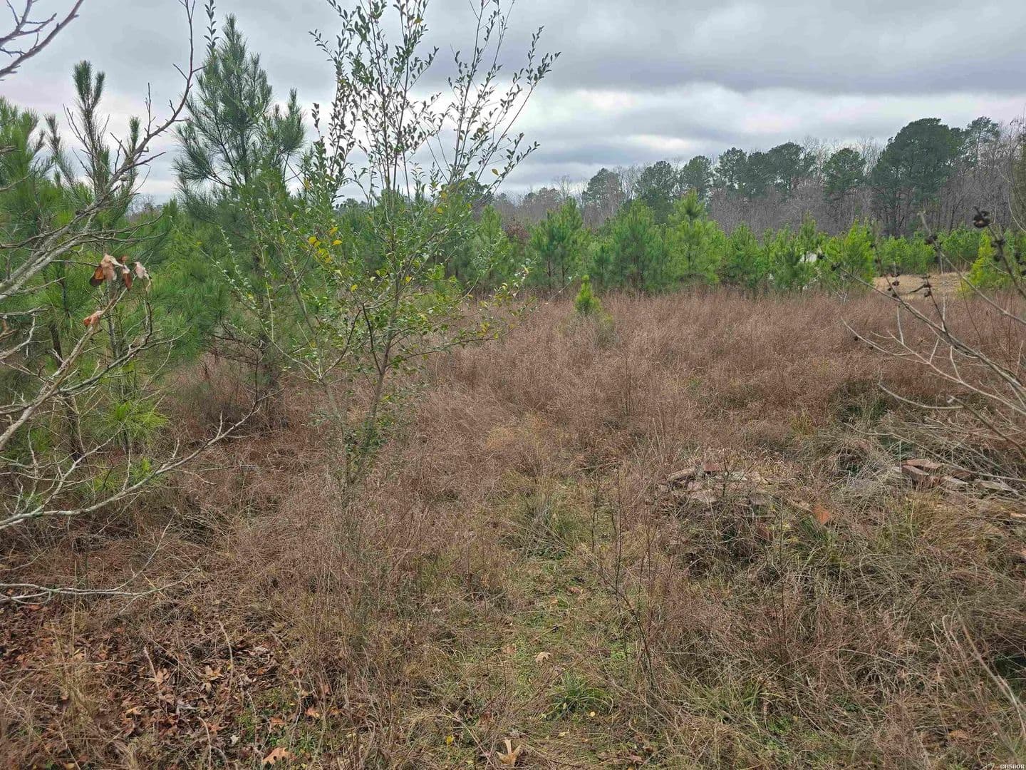 Property from TBD WILSON LAKE Lane - KW - Hot Springs, Arkansas, 71901