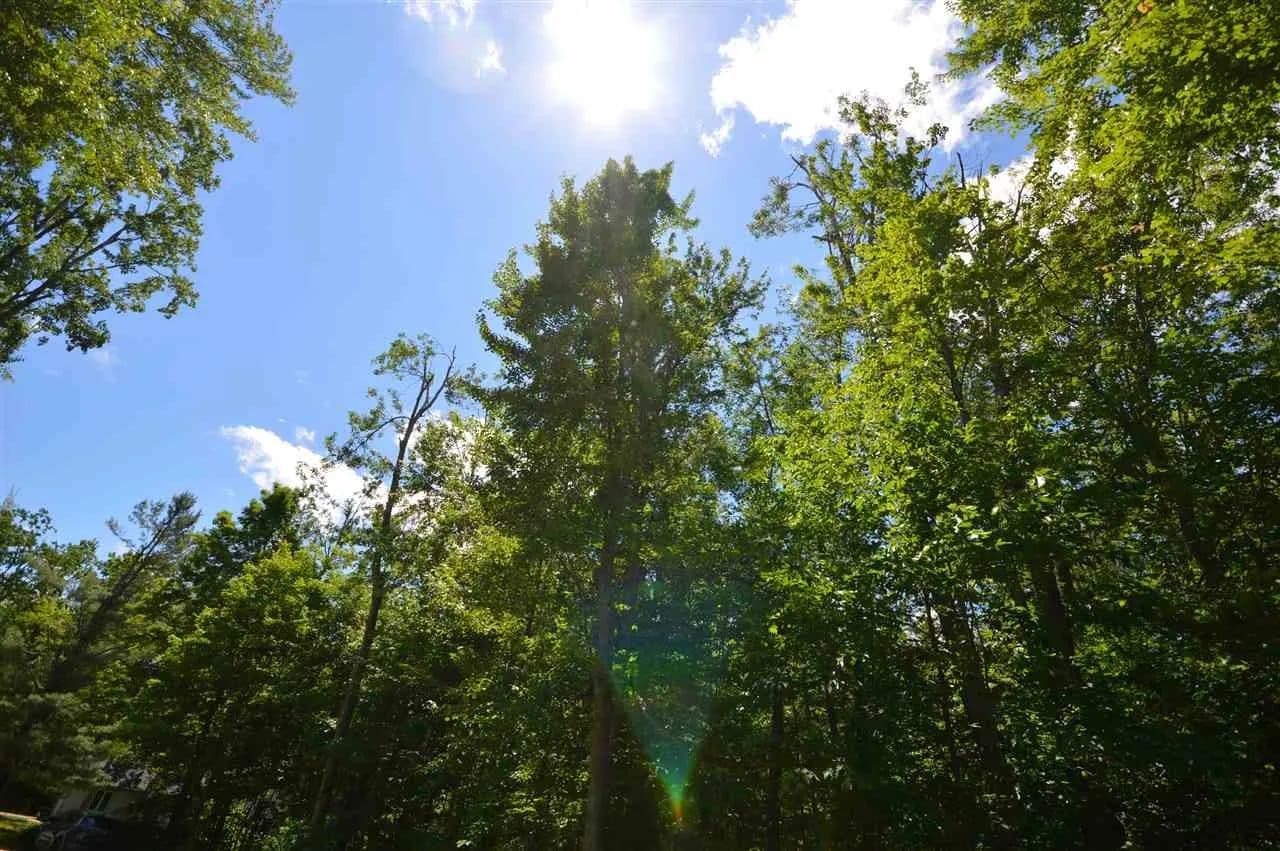 Property from 8294 Ridgeway Road - KW - Petoskey, Michigan, 49770