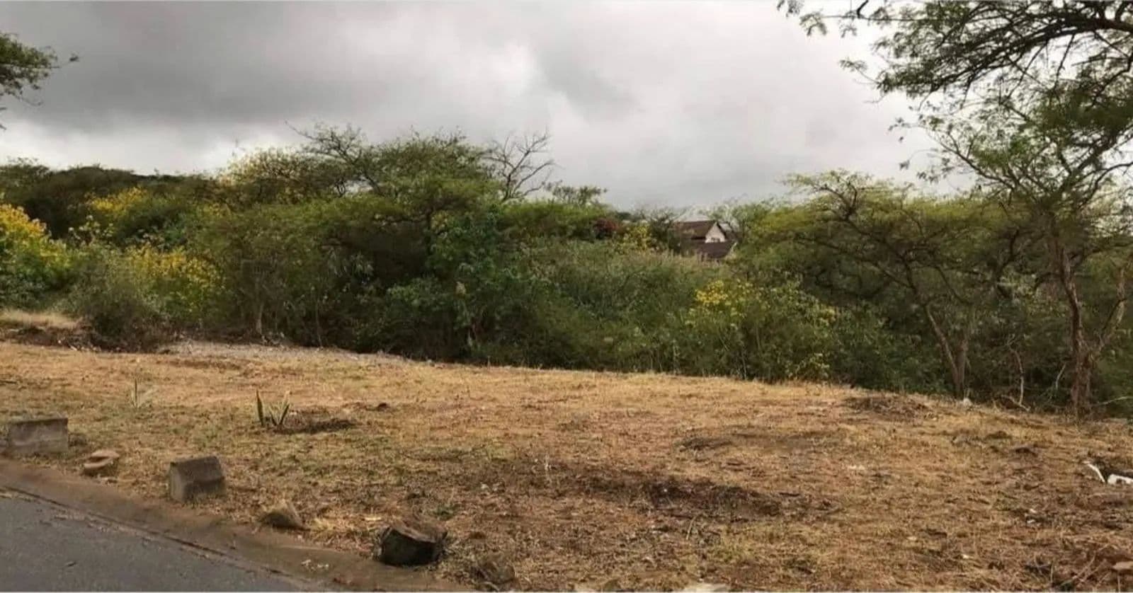 814 Acres of Land for Sale in Nelspruit, Mpumalanga - land for sale