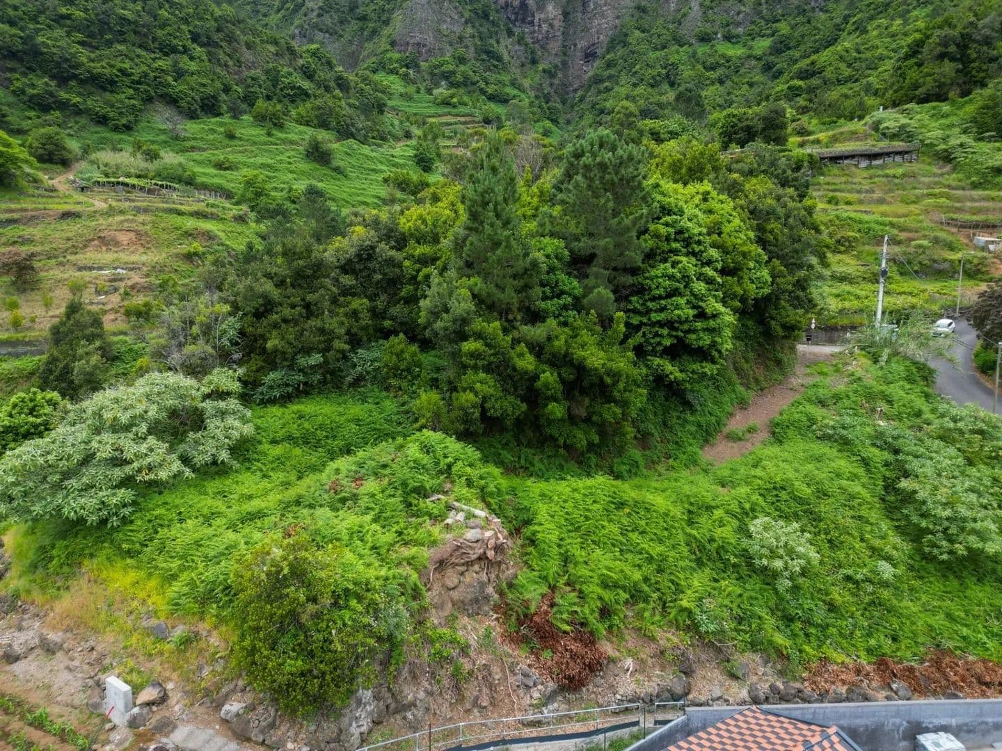 2302 Acres of Land for Sale in São Vicente, São Vicente - land for sale