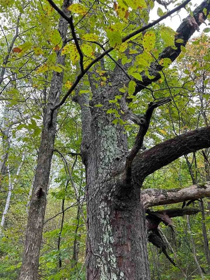 Property from 0000 Cedar River Road - KW