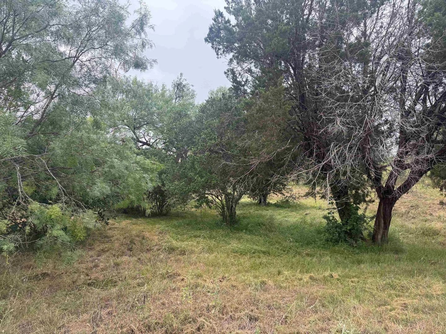 0.31 Acres of Land for Sale in Horseshoe Bay, Texas - Horseshoe Bay, Texas, 78657