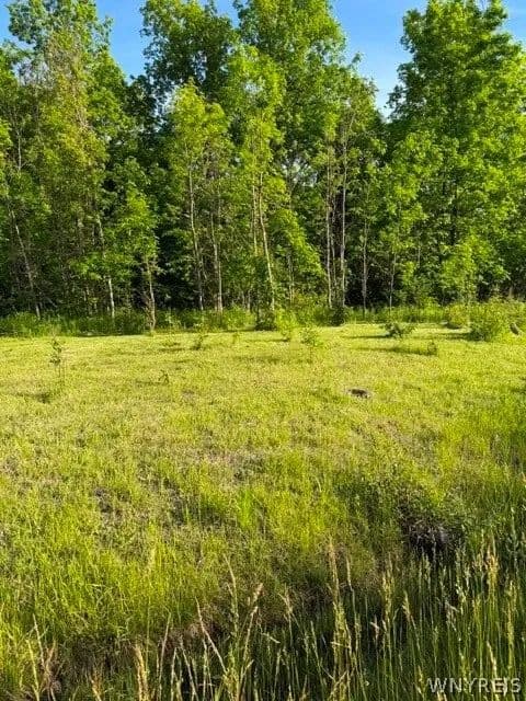 Property from Lake Shore Road N - KW - Hamburg, New York, 14075