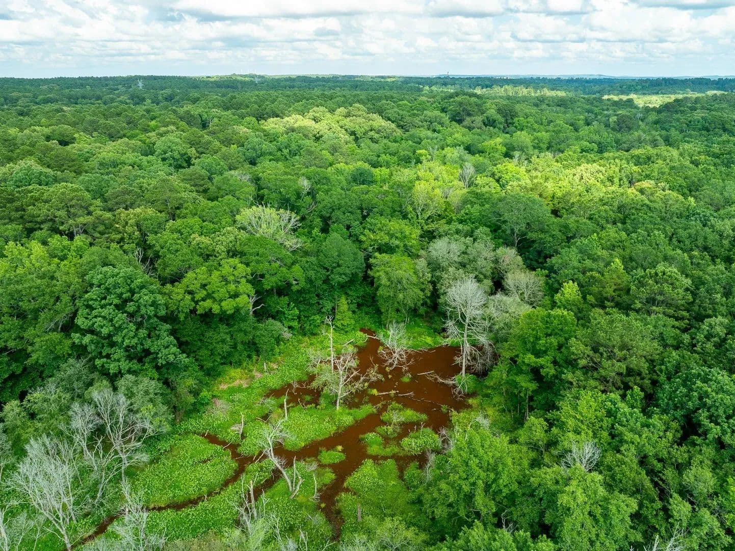 Property from na CR 2137 D - KW - Tatum, Texas, 75961