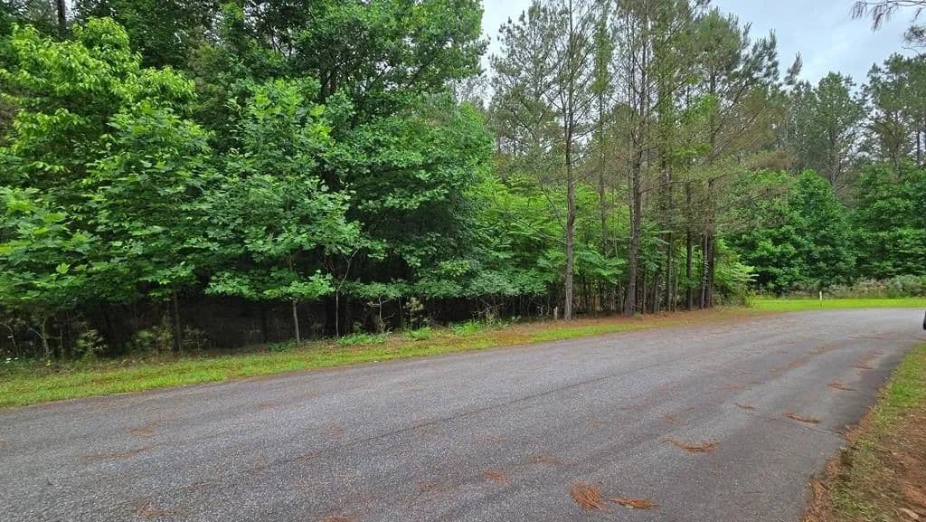 Lots & Land-Other in Blairsville - Blairsville, Georgia, 30512