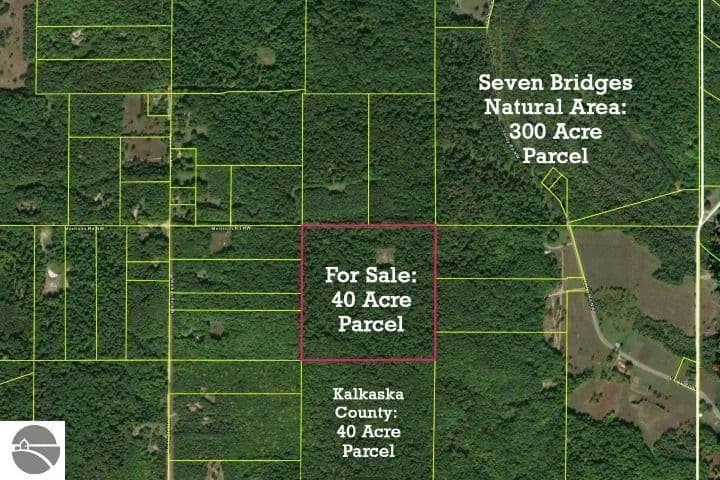 40 Acres of Land for Sale in Rapid City, MI - Rapid City, Michigan, 49676