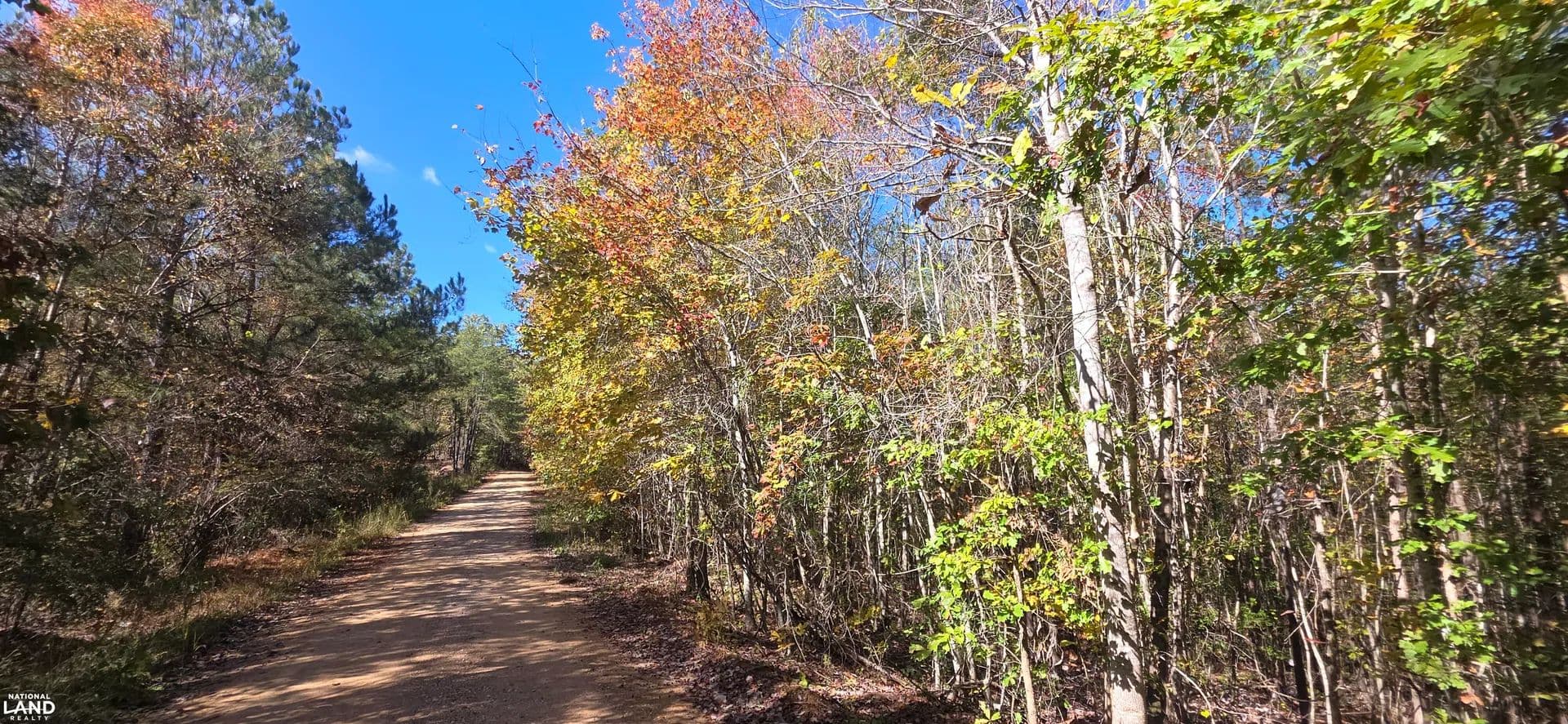 Bankhead Lot Near Smith Lake - Double Springs, Alabama, 35553
