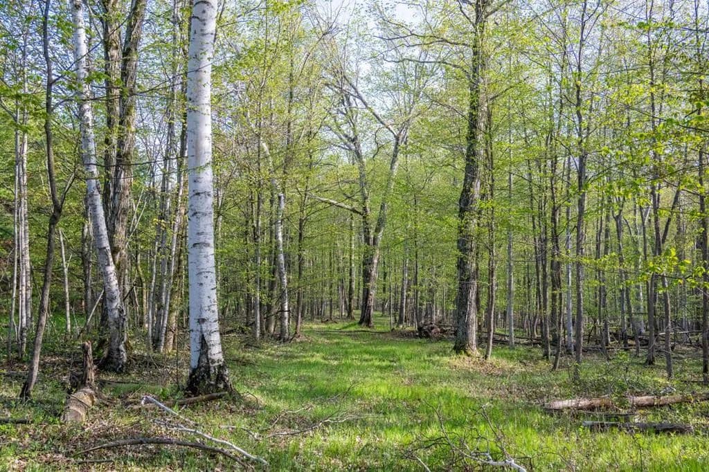 6.6 Acres of Land for Sale in Fish Creek, Wisconsin - Fish Creek, Wisconsin, 54212