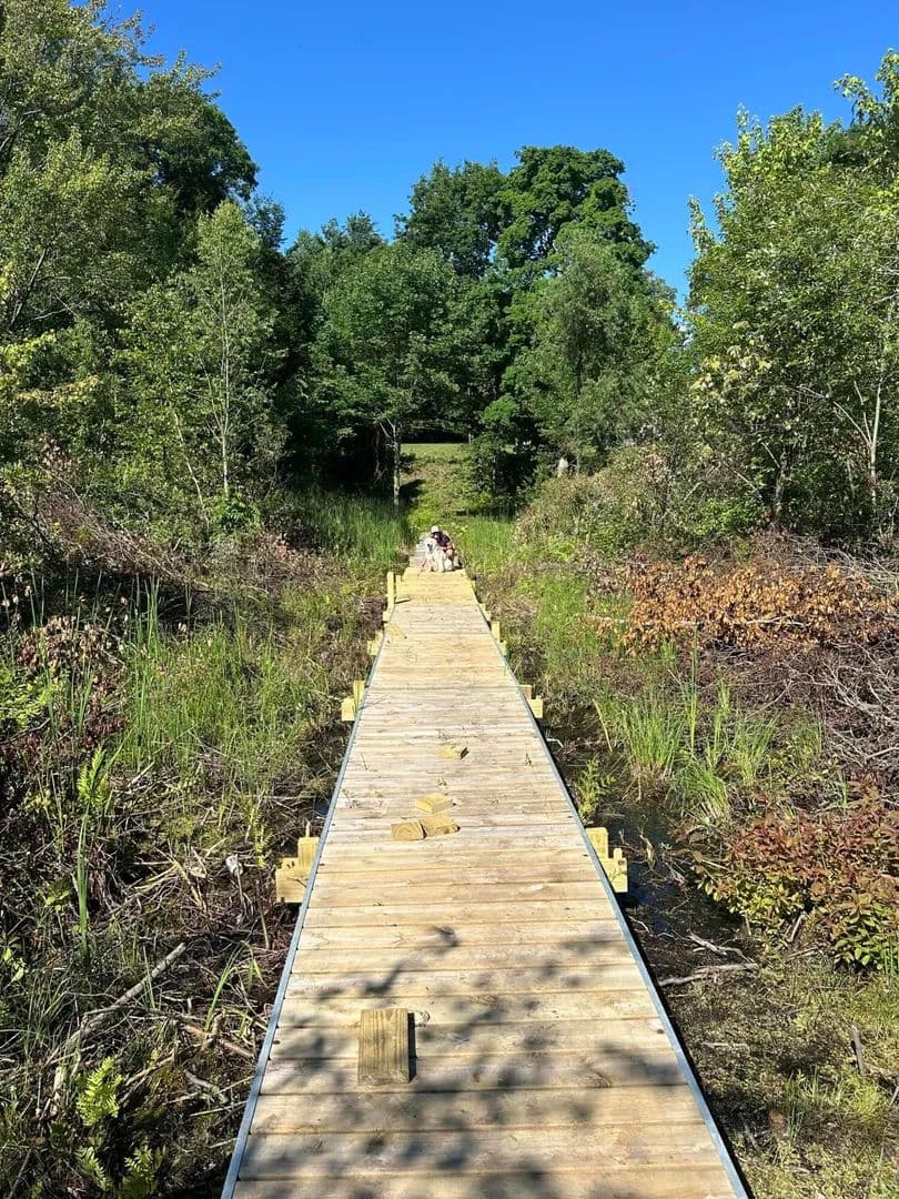 Property from 6081 Terry Drive - KW - Six Lakes, Michigan, 48886
