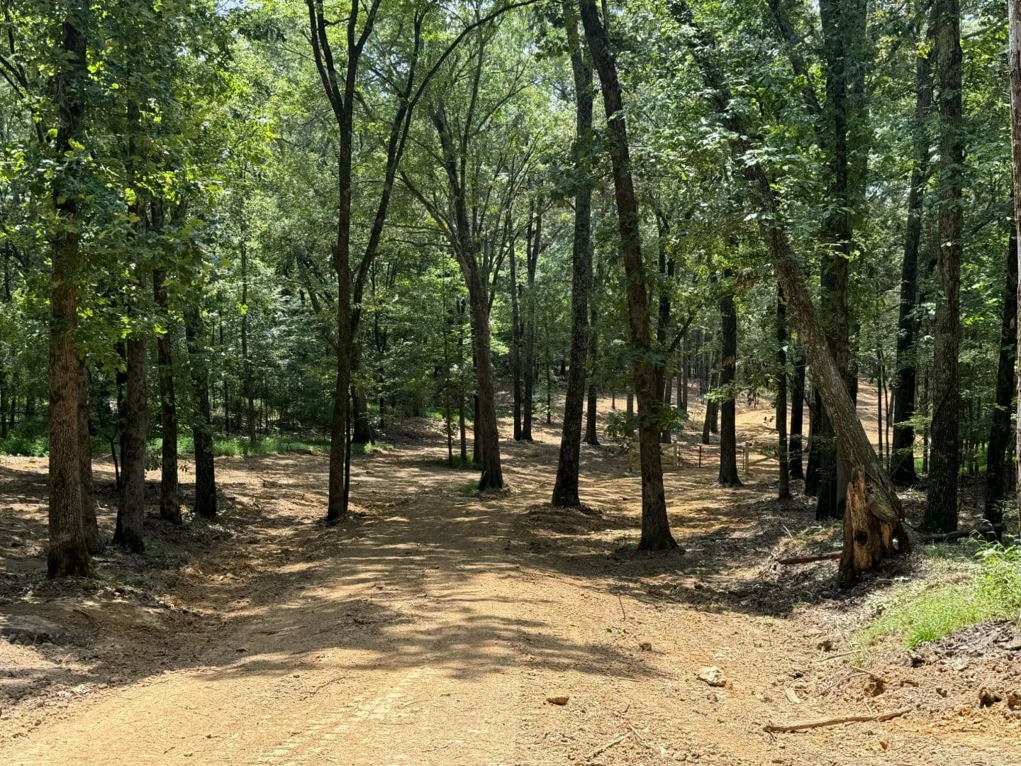 56.32 Acres in Fayette County, TN - Eads, Tennessee, 38028