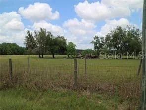 Vacant Land in Odessa - Odessa, Florida, 33556