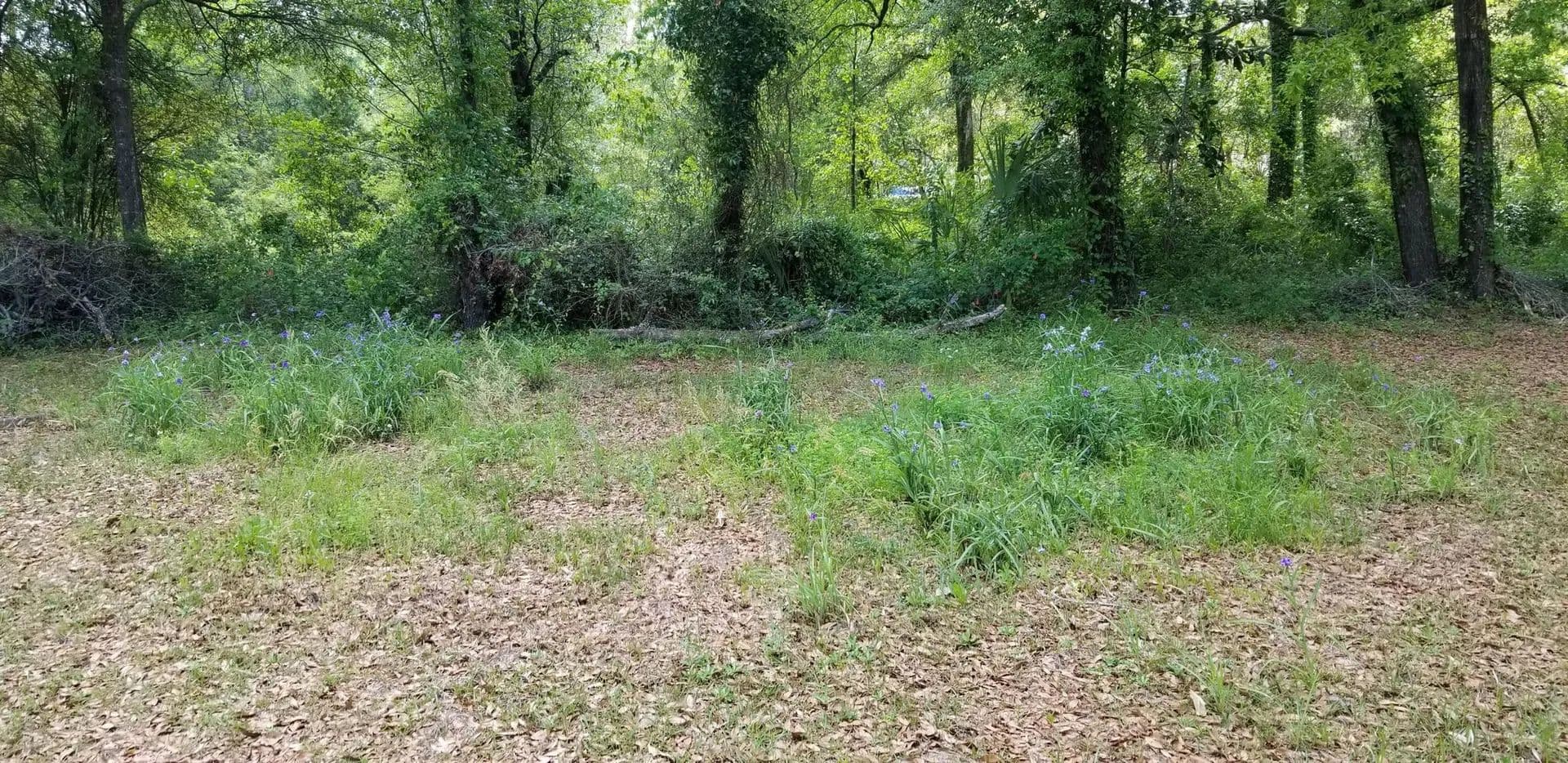 Vacant Land (0-10 Acres) in Walterboro - Walterboro, South Carolina, 29488