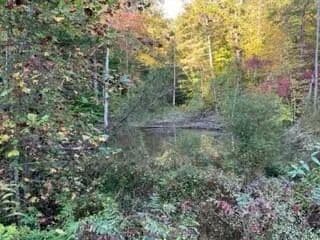 Property from 1003 Wilber Hill Road - KW - Blaine, Kentucky, 41124