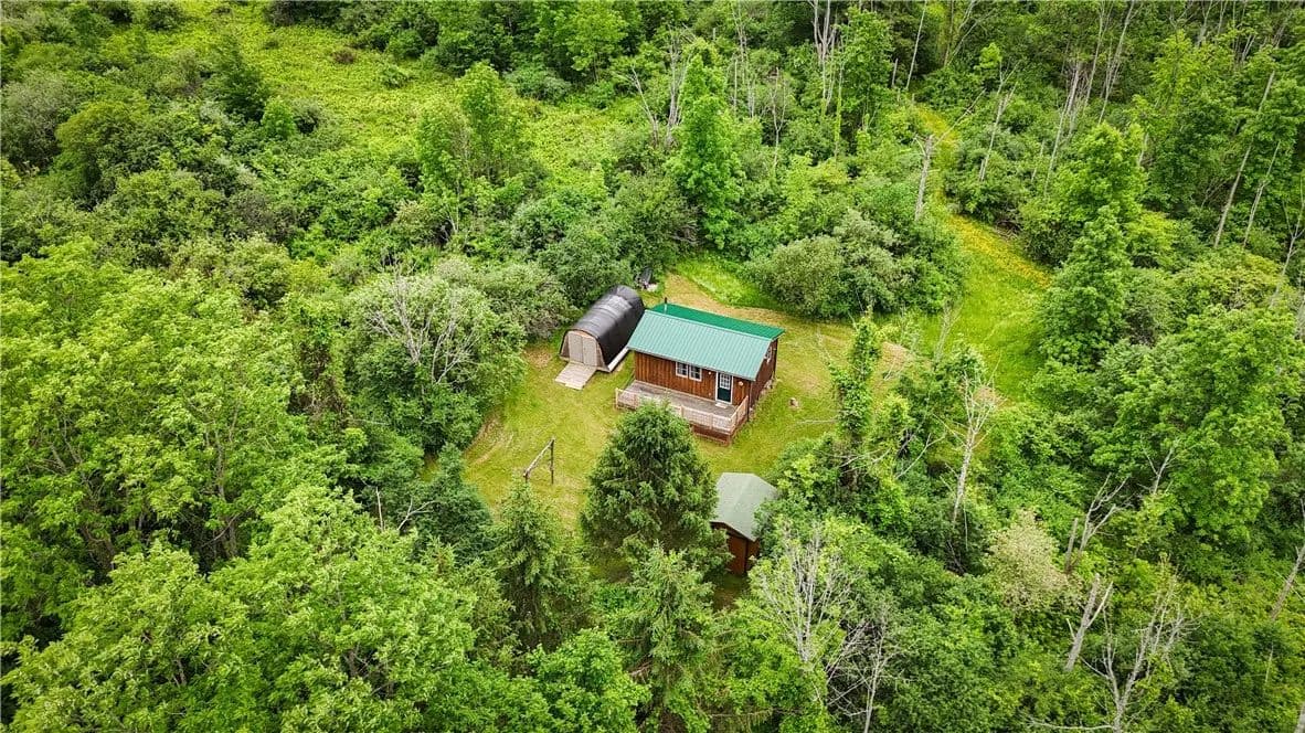 49 Acres of Land for Sale in Dundee, NY - Dundee, New York, 14837