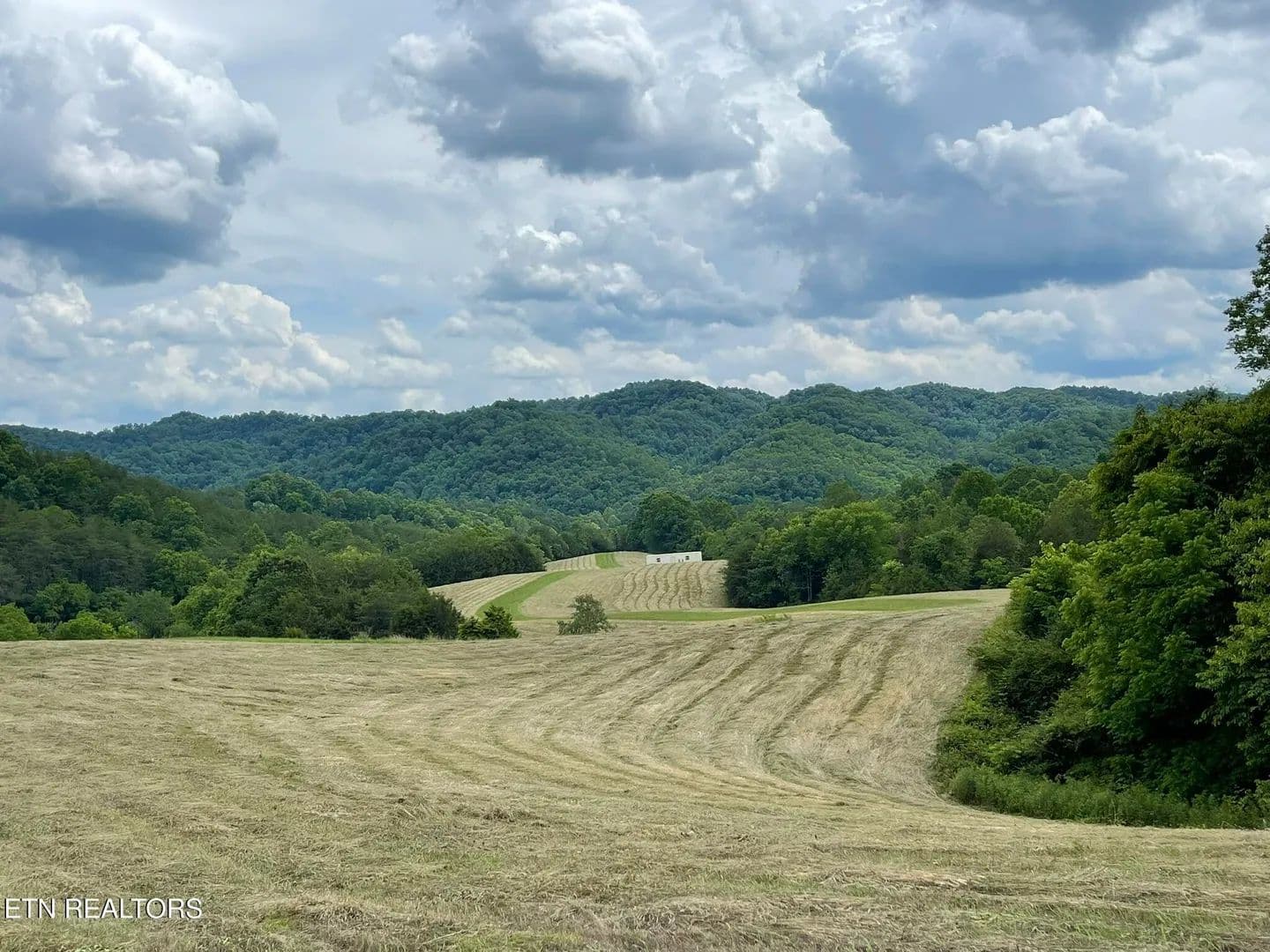 57.18 Acres of Land for Sale in Sneedville, Tennessee - Sneedville, Tennessee, 37869