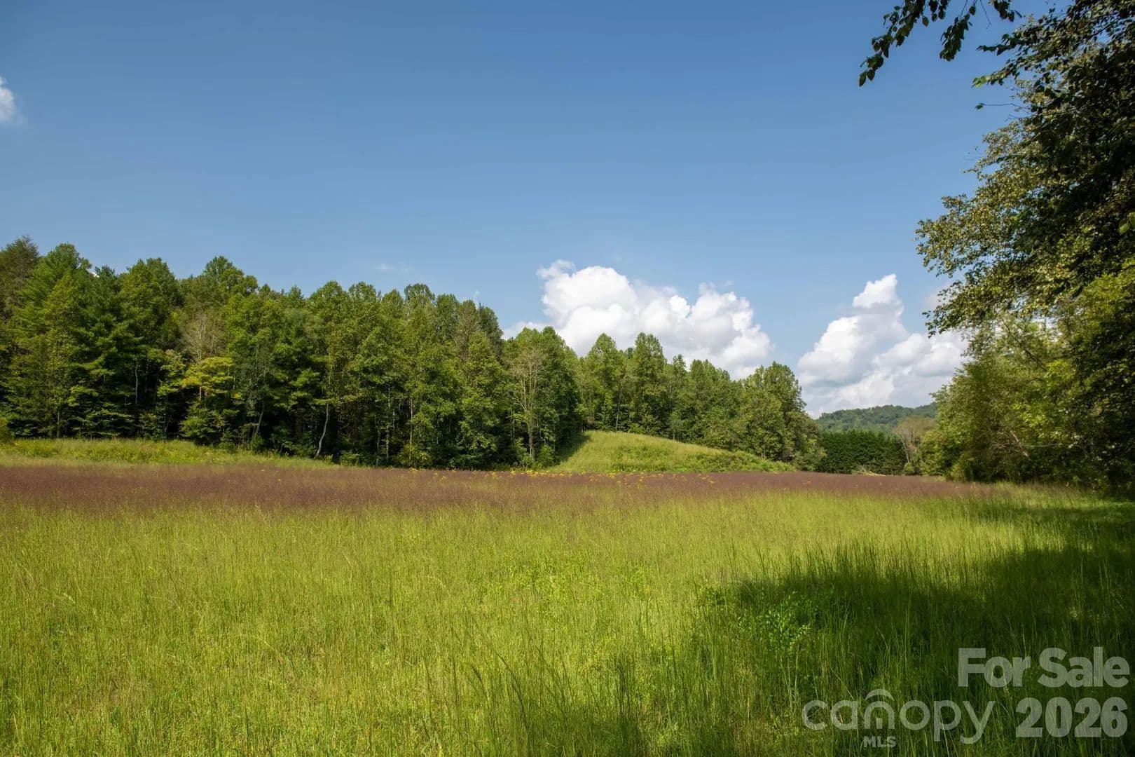 61.6 Acres of Land for Sale in Lenoir, NC - land for sale