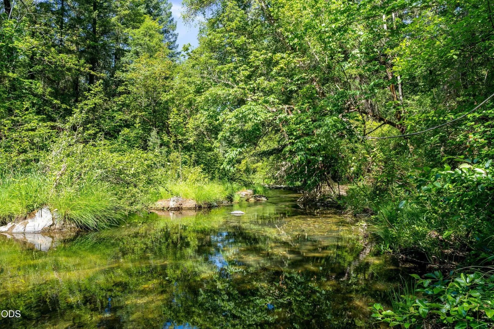 Property from 0 Lower Grave Creek Road - KW - Wolf Creek, Oregon, 97497