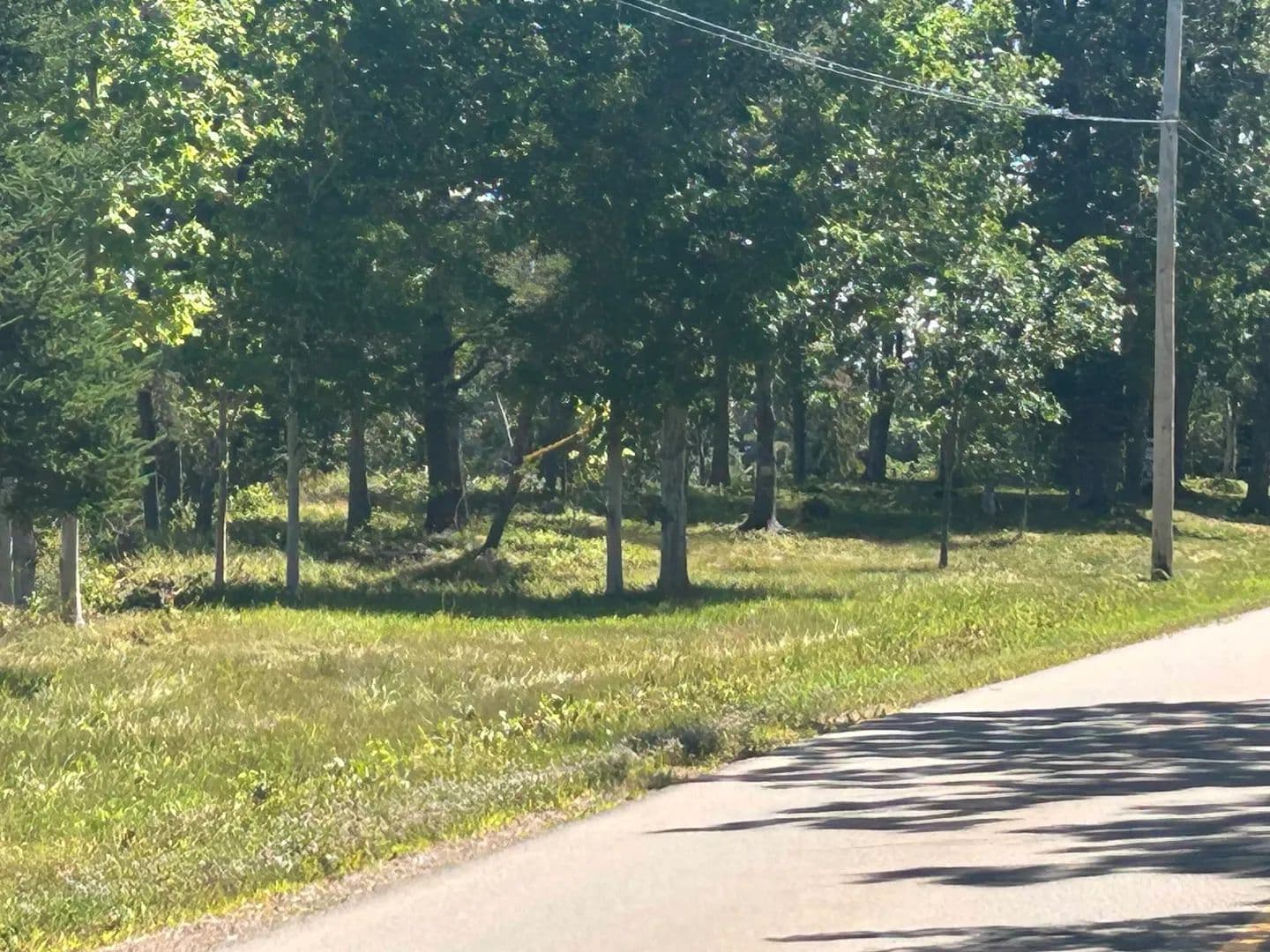 10 Acres of Land for Sale in Glenholme, NS - land for sale