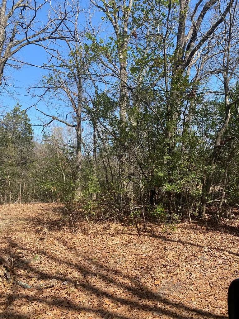 0.3 Acres of Land for Sale in Eustace, Texas - Eustace, Texas, 75124