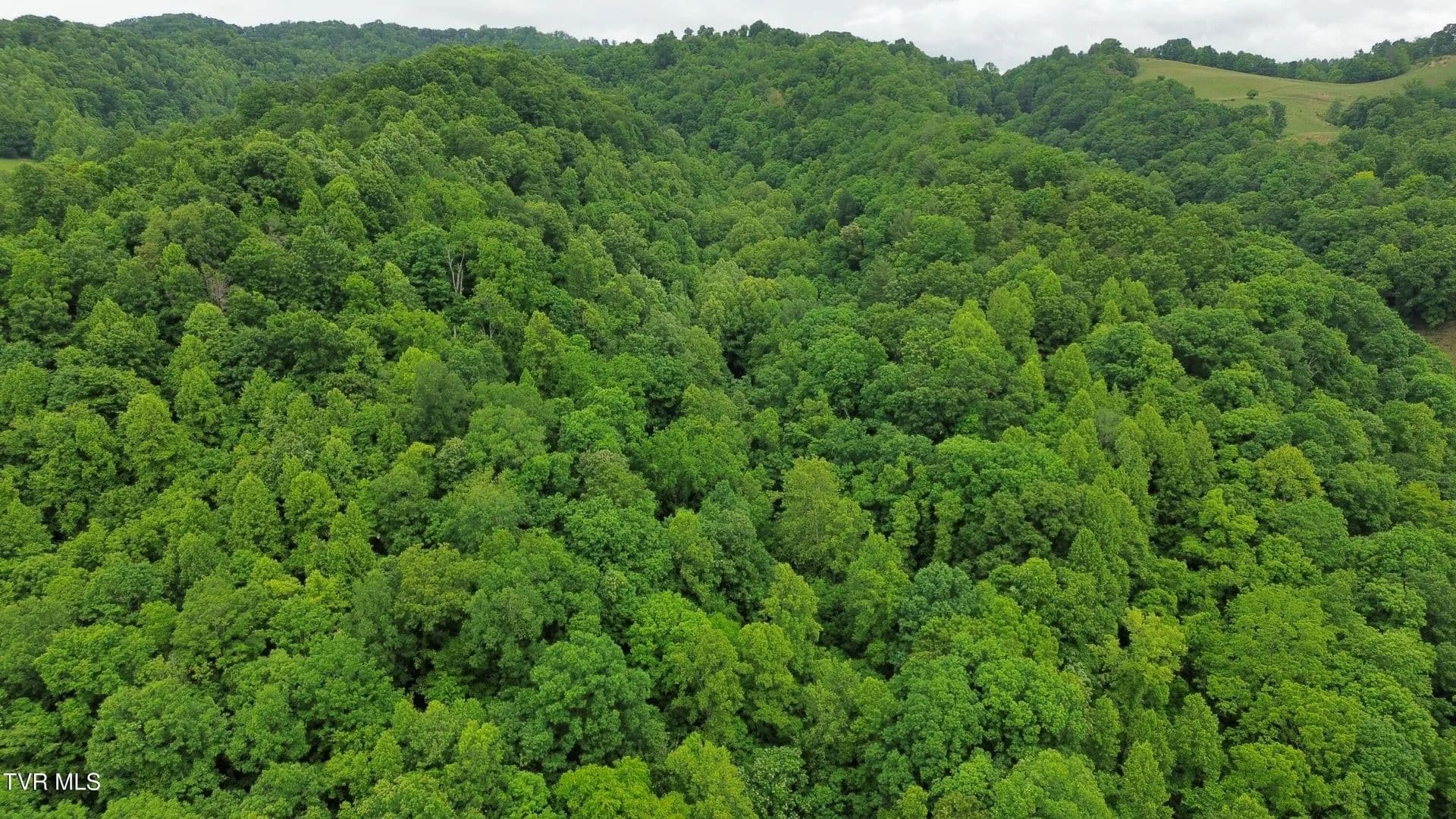 Property from Tbd Boozy Creek Road - KW - Bristol, Virginia, 24202