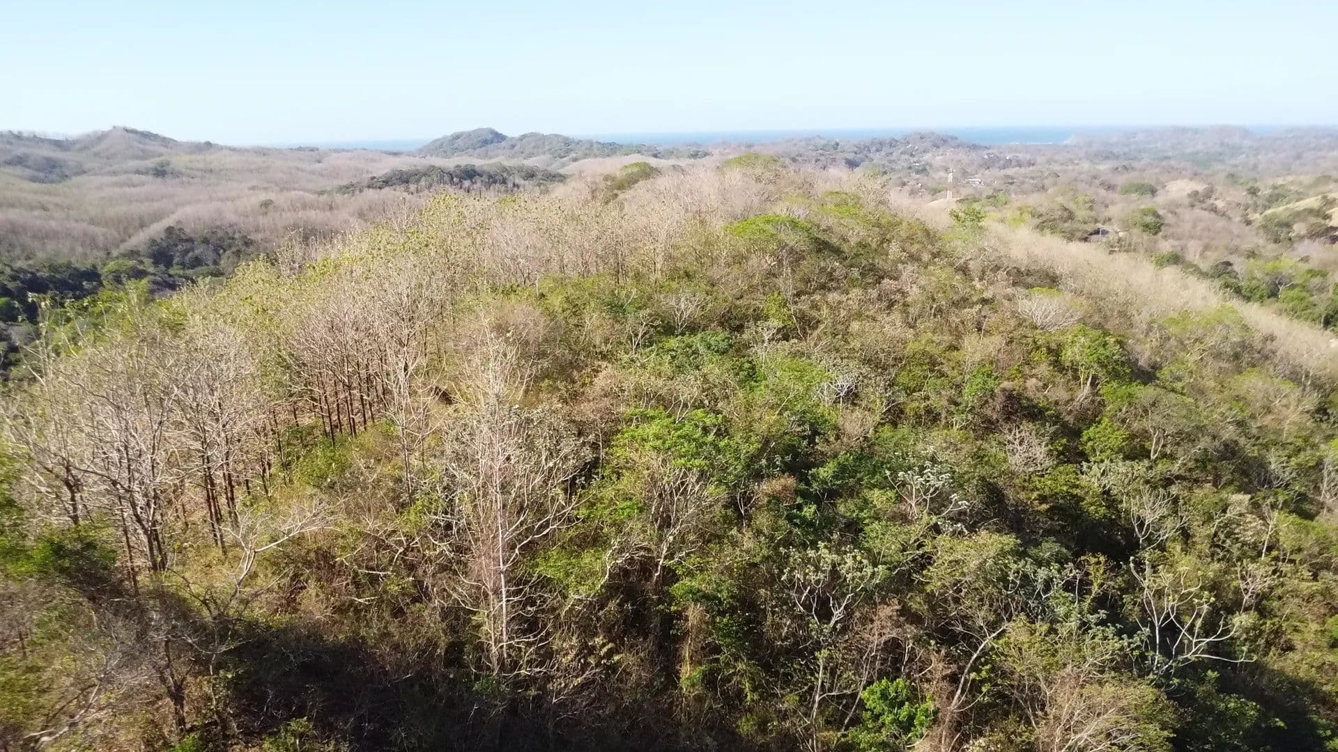 Vacant Land in Samara - land for sale