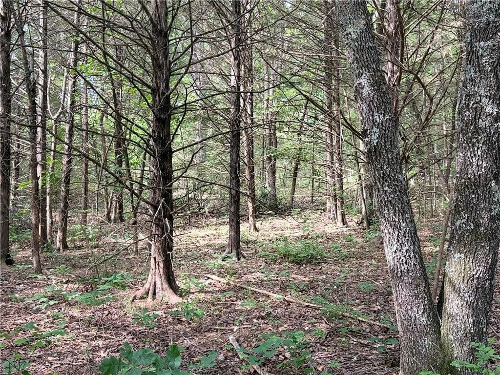 0.27 Acres of Land for Sale in Bella Vista, AR - Bella Vista, Arkansas, 72714