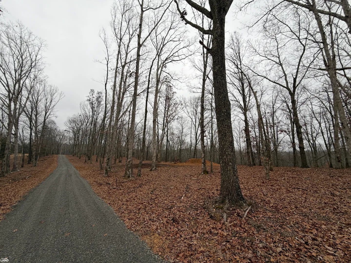 0 Highway 50 East Lot 3 - Centerville, Tennessee, 37033